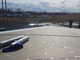 flat roof replacement butte montana
