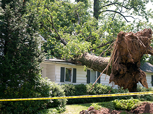 Storm Damage Roof Repair