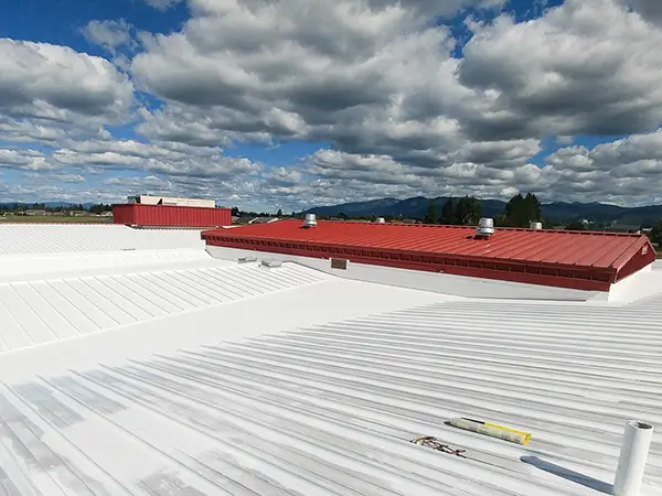 Metal roof coatings MT