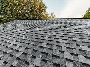 Home Roof Inspection – Missoula, MT 2