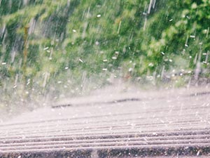 Rain falls on a wet wooden surface with a blurred green background, captured during a shower.